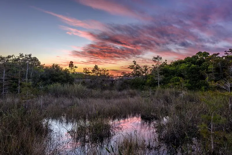 Explore the Everglades by Airboat