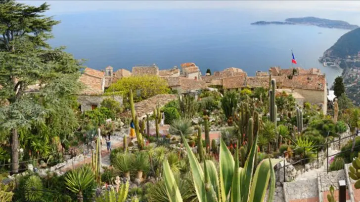 4 Famous Vineyards in France and 5 Villages That Feel Straight Out of a Painting