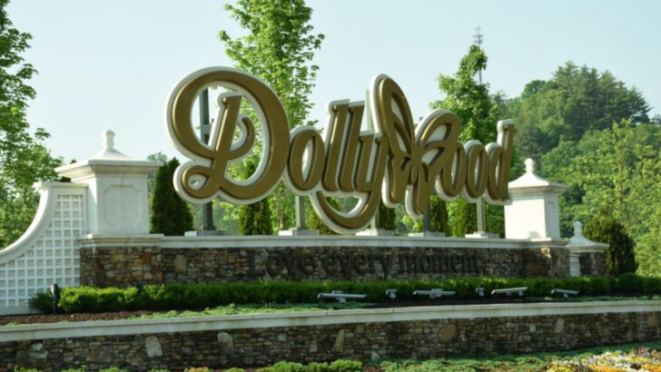 6 Common Mistakes People Make at Dollywood and 6 Unspoken Rules That Regulars Always Follow