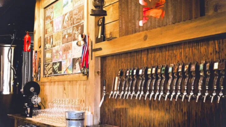 6 places in South Dakota to try buffalo burgers and bison steaks