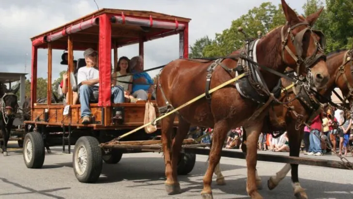 7 Alabama festivals families make part of their traditions