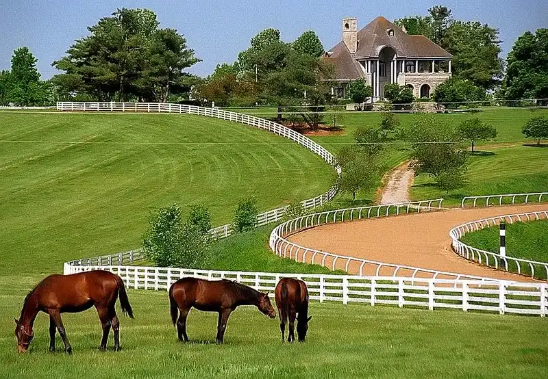 Lexington