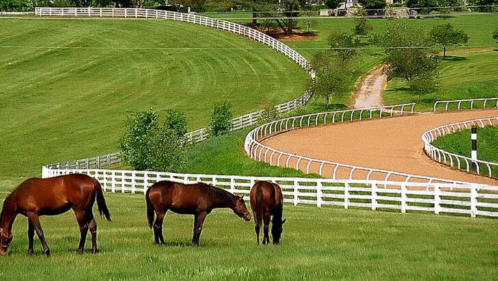 7 Kentucky horse country towns where racing and tradition run deep