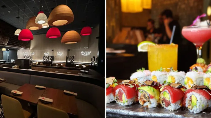 7 Sushi Restaurants in Boston Serving Rolls Worth Every Bite