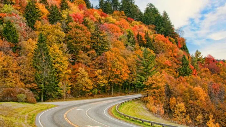 Drives through the North Carolina mountains great for seeing autumn arrive