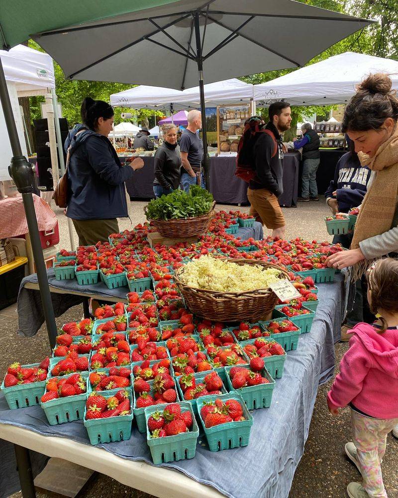 Portland Farmers Market at PSU