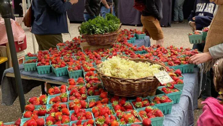 8 Farmers’ Markets in Oregon That Are Worth Planning a Weekend Around