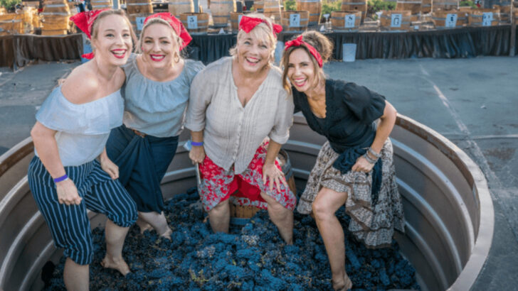 8 Grape Harvest Festivals in California Wine Country Worth the Trip