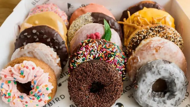 8 New England Donut Spots Regulars Say Are The Best Around