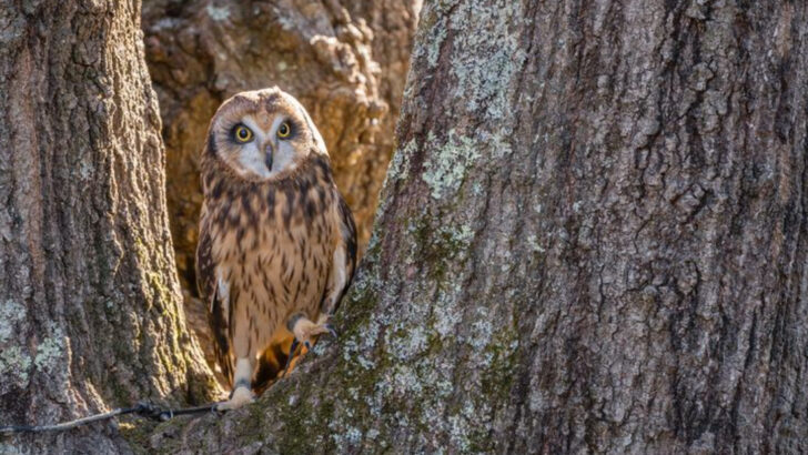 8 day trips near Charlotte that families keep coming back to