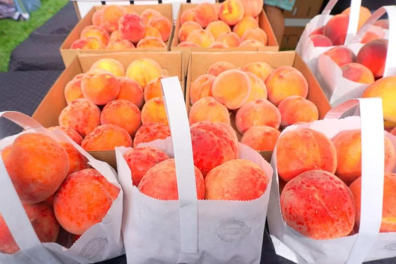 Palisade Peach Festival – Palisade