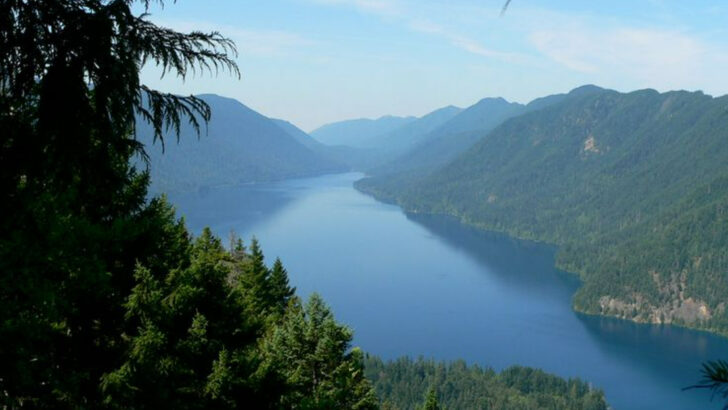 9 Hikes in Olympic National Park That Show What Makes It So Unique