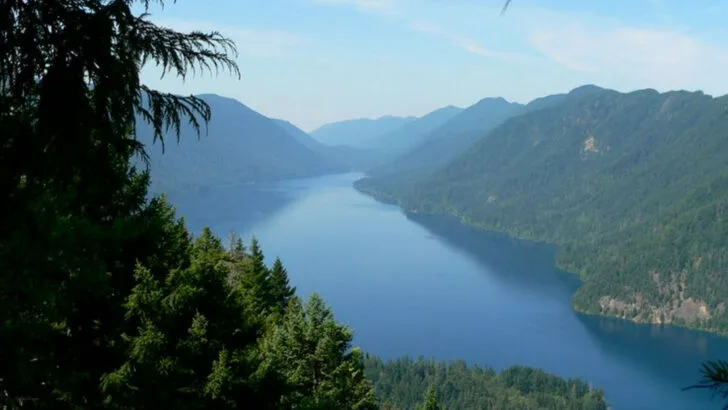 9 Hikes in Olympic National Park That Show What Makes It So Unique