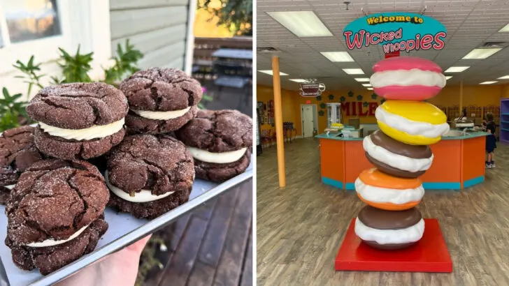 9 Maine whoopie pie bakeries that carry on the state’s sweetest rivalry