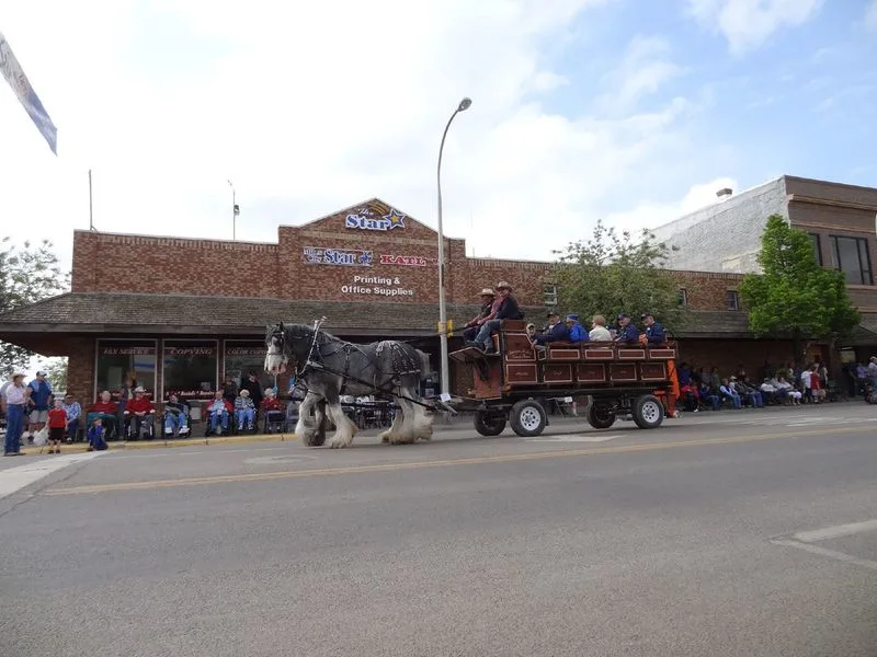 Miles City Bucking Horse Sale