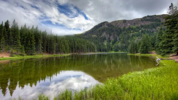 9 Natural Wonders in New Mexico That Don’t Require a Trip to the Desert