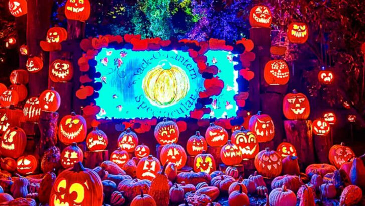 9 New England pumpkin festivals that light up small towns at night