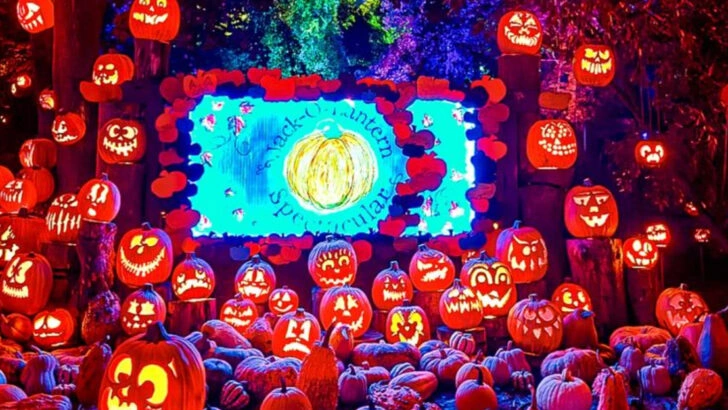 9 New England pumpkin festivals that light up small towns at night