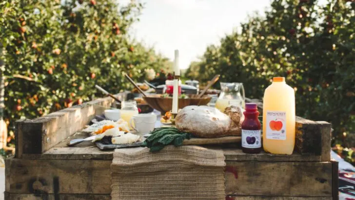 9 New York cider mills that turn autumn into an experience