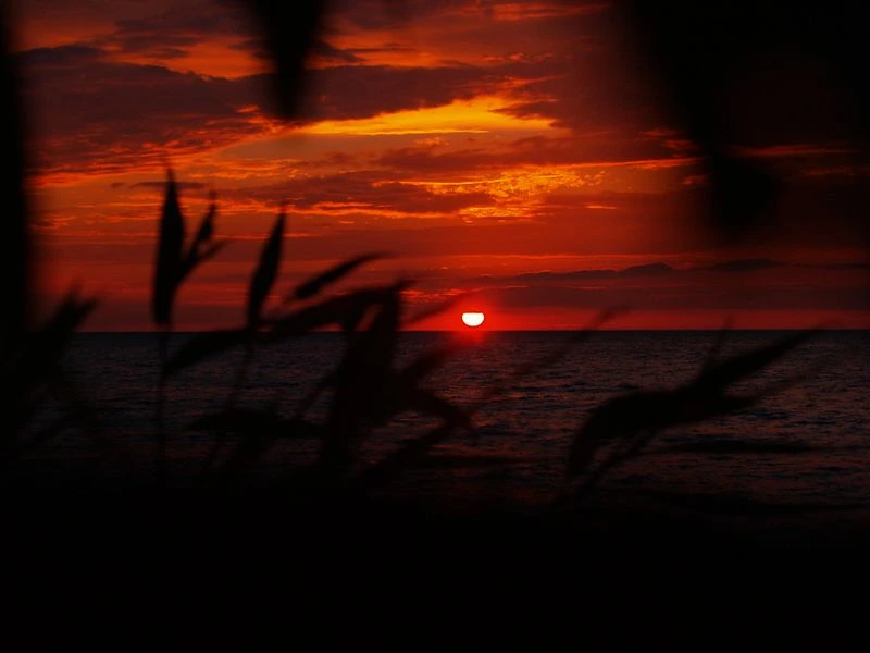 Watching the Sunset at Breitbeck Park