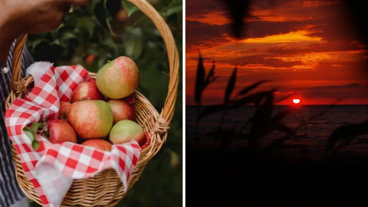 9 Oswego Experiences That Make Early Autumn Unforgettable