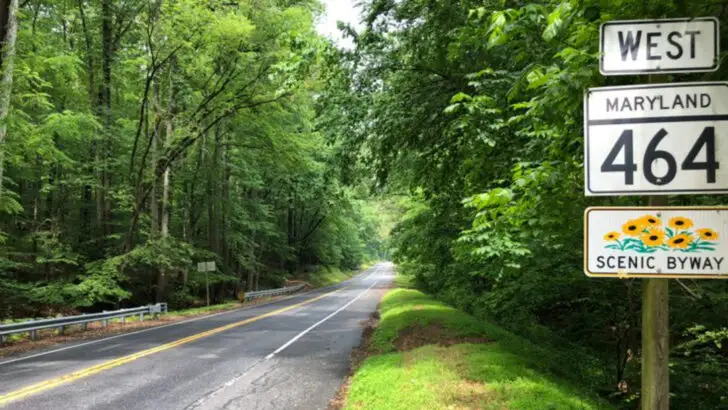 9 Scenic Byways in Maryland Perfect for a Weekend Drive