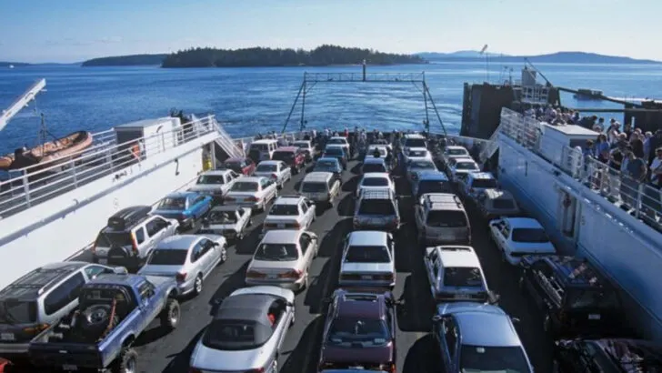 9 Unspoken Ferry Rules That Keep Lines Moving and Families Sane