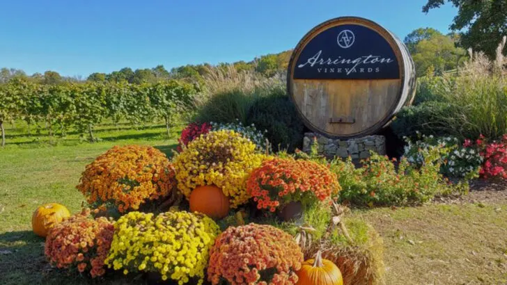 9 day trips near Nashville that show off Tennessee’s charm