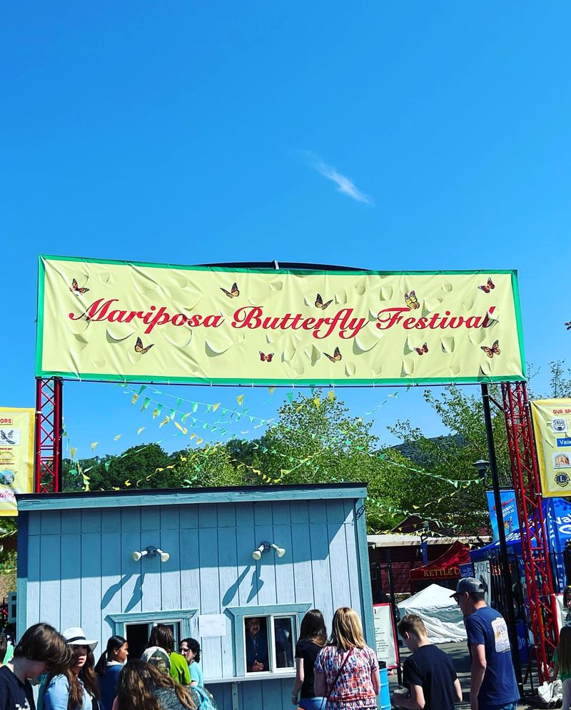 Mariposa Butterfly Festival — Mariposa