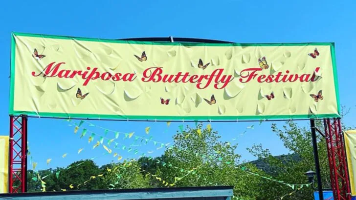 9 festivals near Yosemite that highlight the best of the region