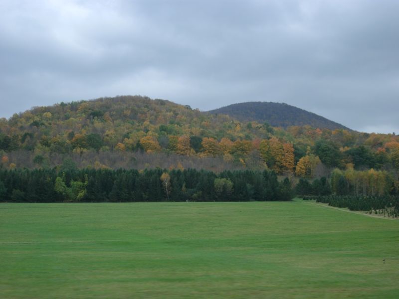Hiking the Green Mountains – Trails for All Levels