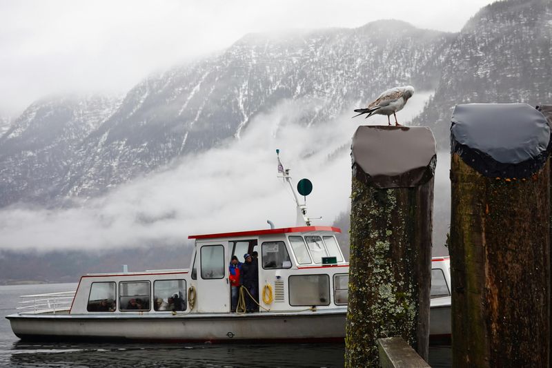 Lake Cruises: Drifting Through a Dream