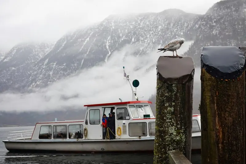 Lake Cruises: Drifting Through a Dream