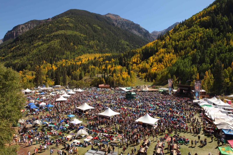 A Global Festival Hub