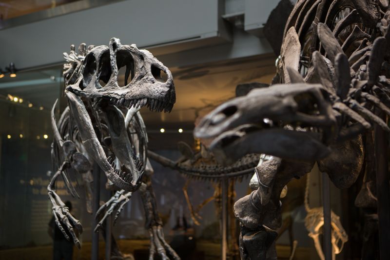 Dinosaur Hall