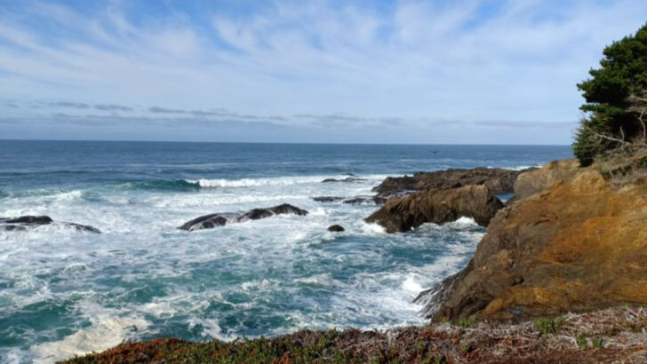 A road trip through northern California with redwoods, coastline, and diner stops