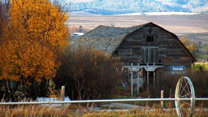 A road trip through western Montana with hot springs, ranches, and rugged charm