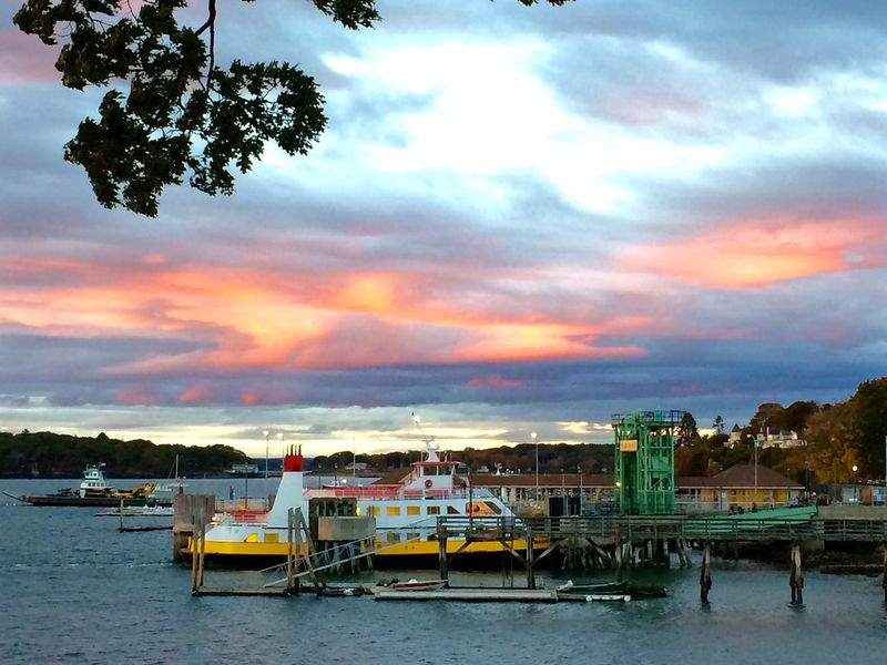 Island Avenue's Quaint Charm