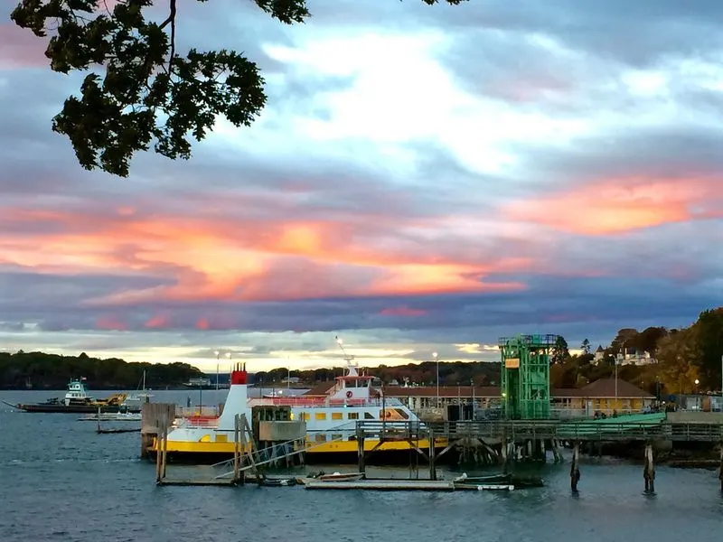 Island Avenue's Quaint Charm