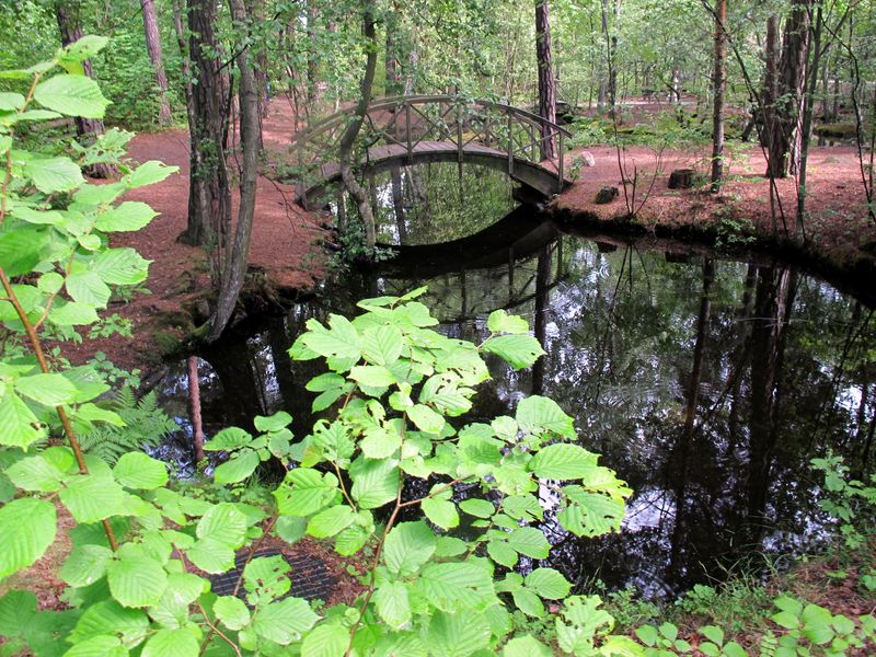 Djurgården Island