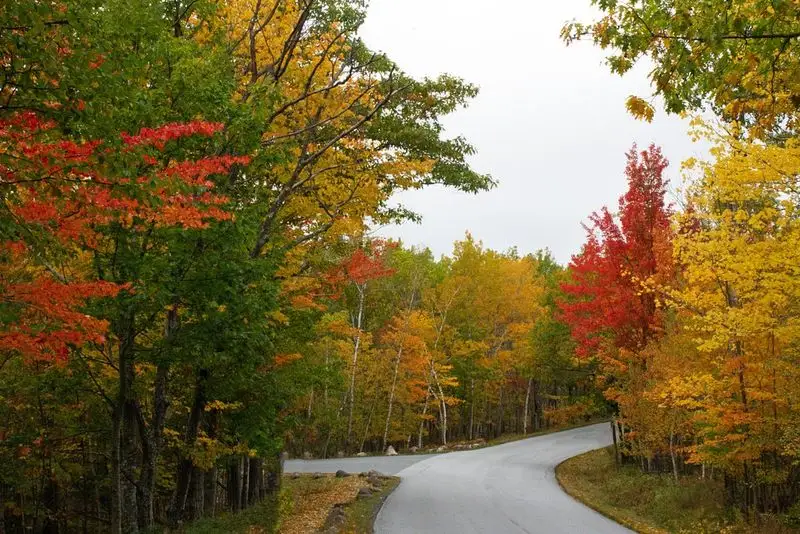 Route 1 Coastal Drive (Kittery to Bar Harbor)
