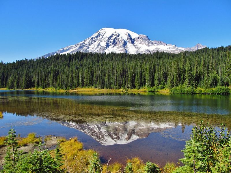 Mount Rainier National Park, Washington