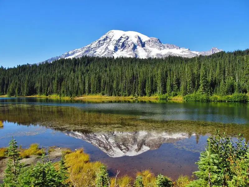 Mount Rainier National Park, Washington
