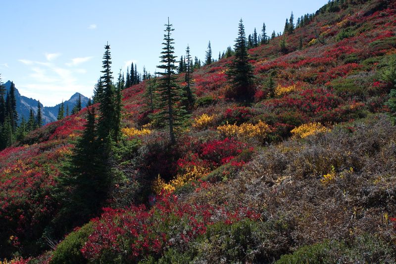 Mount Rainier National Park, Washington