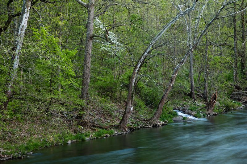 Monongahela National Forest