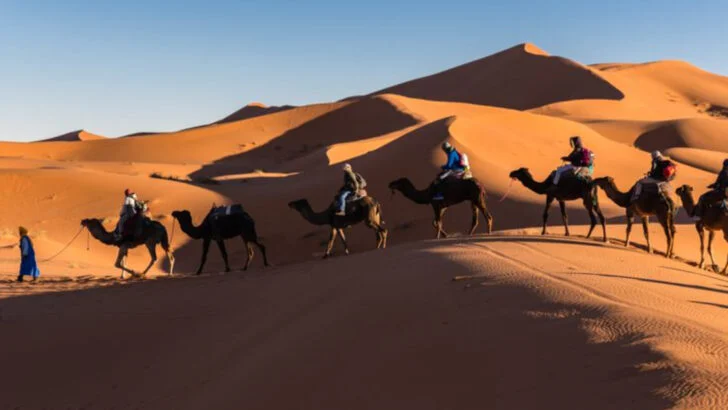 After years of dreaming, I finally made it to Morocco and 8 experiences made the journey unforgettable