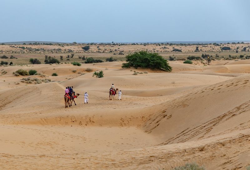 Rajasthan's Thar Desert