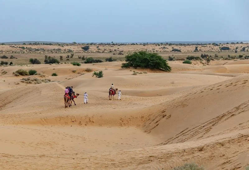 Rajasthan's Thar Desert