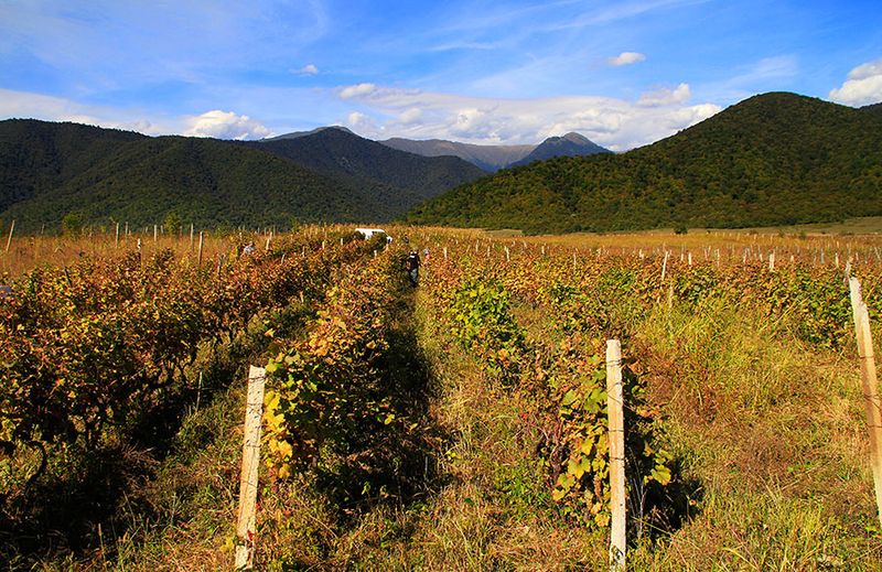 Georgia