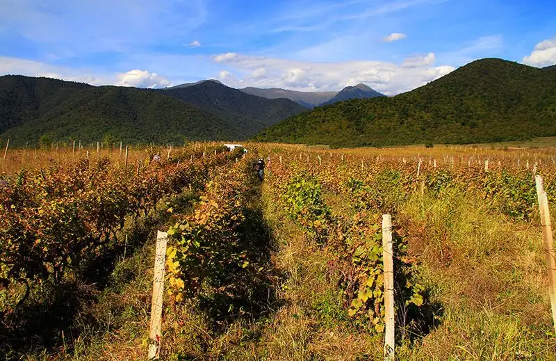 Georgia
